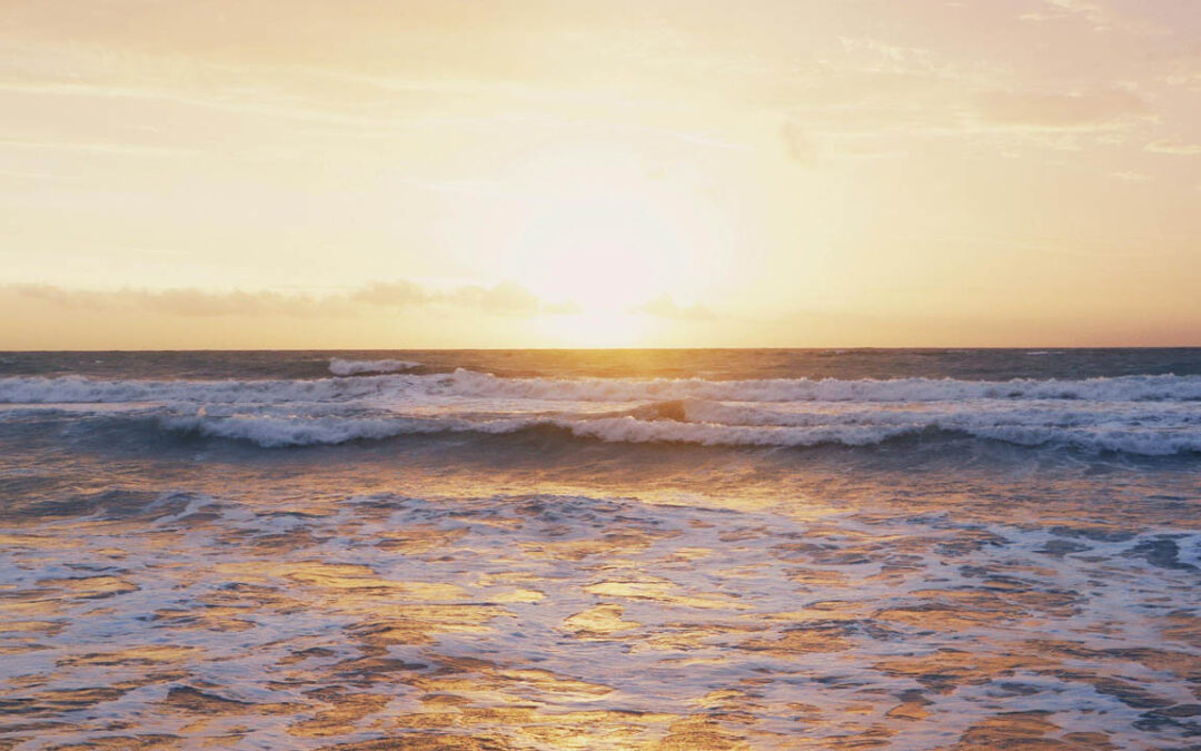 The 411 on Brazilian Waxing for Men & Women