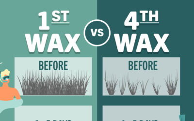 Hair Growth Cycles – Why a Waxing Routine is Essential