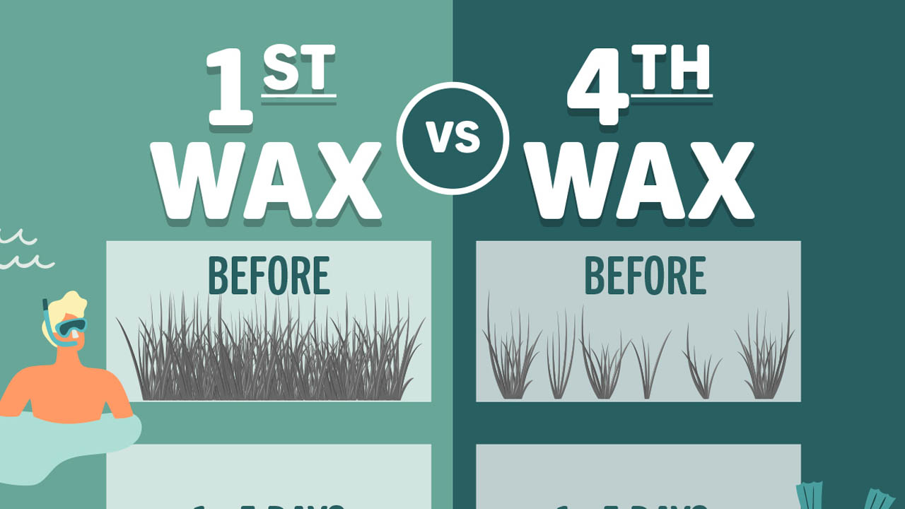 Hair Growth Cycles Why a Waxing Routine is Essential Wax Shack